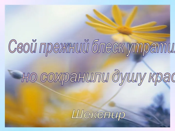 Свой прежний блеск утратили цветы, но сохранили душу красоты. Шекспир