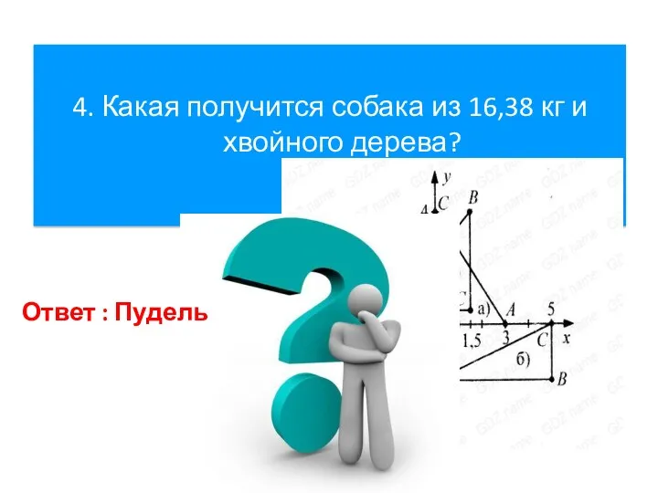 4. Какая получится собака из 16,38 кг и хвойного дерева? Ответ : Пудель