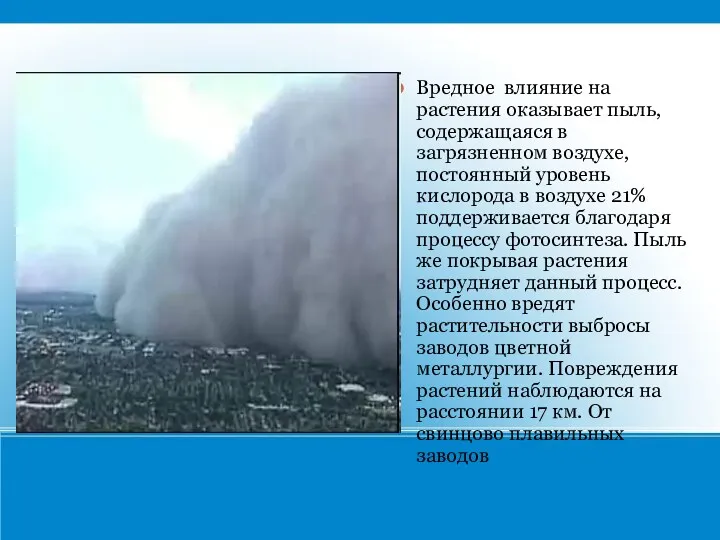 Вредное влияние на растения оказывает пыль, содержащаяся в загрязненном воздухе,