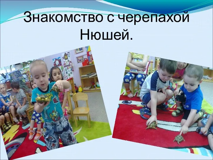 Знакомство с черепахой Нюшей.