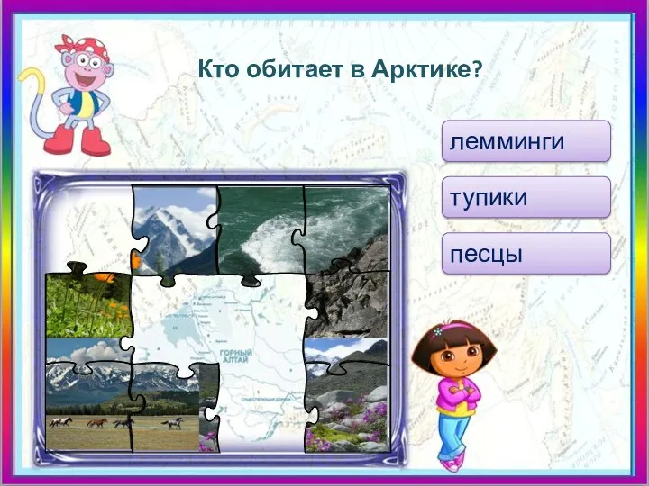 Кто обитает в Арктике? лемминги тупики песцы