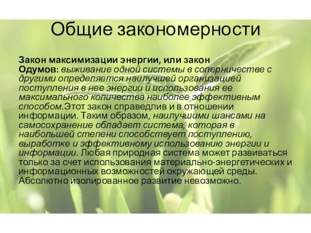 Общие закономерности Закон максимизации энергии, или закон Одумов: выживание одной системы в соперничестве