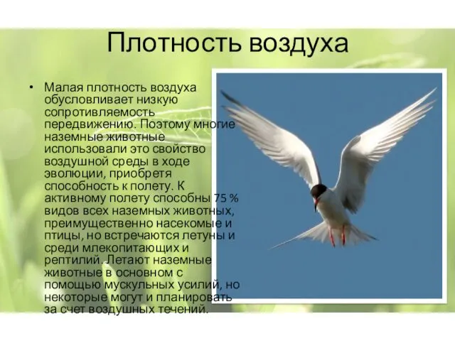 Плотность воздуха Малая плотность воздуха обусловливает низкую сопротивляемость передвижению. Поэтому