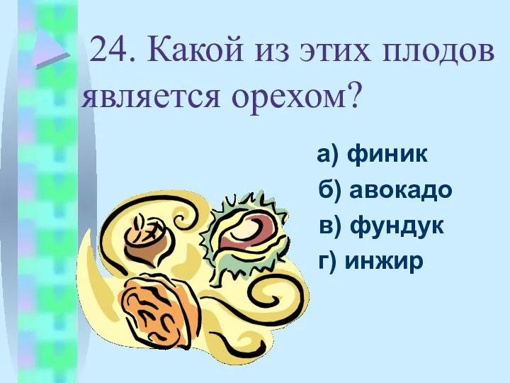 24. Какой из этих плодов является орехом? а) финик б) авокадо в) фундук г) инжир