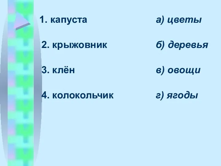 1. капуста 2. крыжовник 3. клён 4. колокольчик а) цветы б) деревья в) овощи г) ягоды