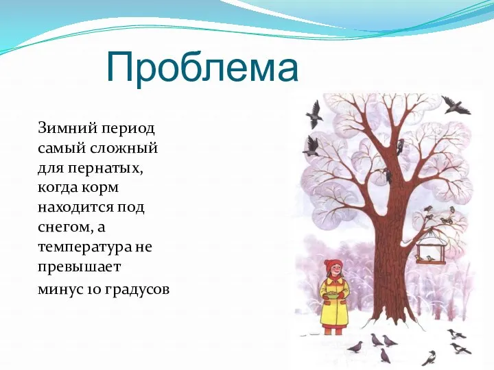 Проблема Зимний период самый сложный для пернатых, когда корм находится