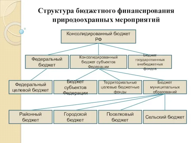 Структура бюджетного финансирования природоохранных мероприятий Консолидированный бюджет РФ Федеральный бюджет
