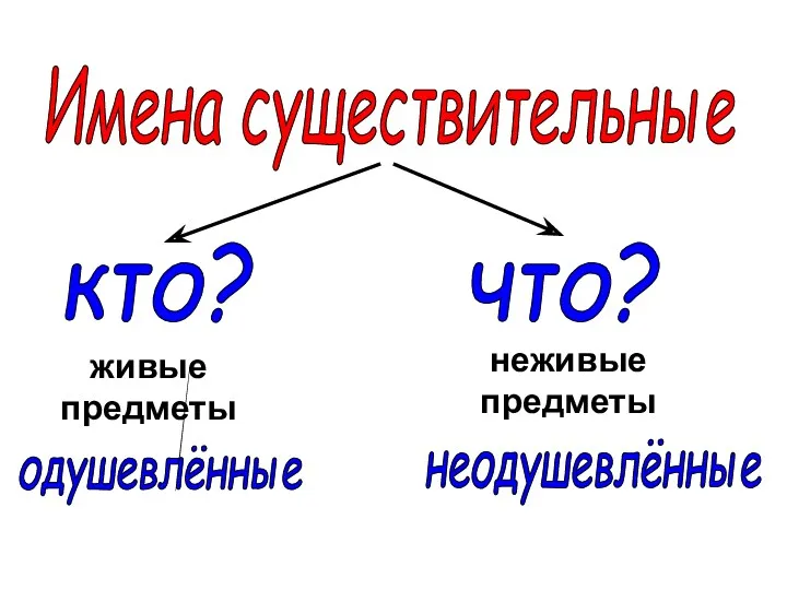 что? кто? неживые предметы живые предметы неодушевлённые одушевлённые Имена существительные