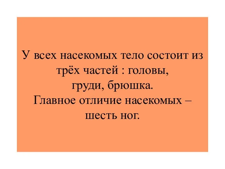 У всех насекомых тело состоит из трёх частей : головы,