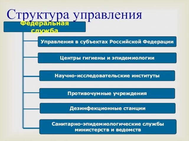 Структура управления Федеральная служба Управления в субъектах Российской Федерации Центры