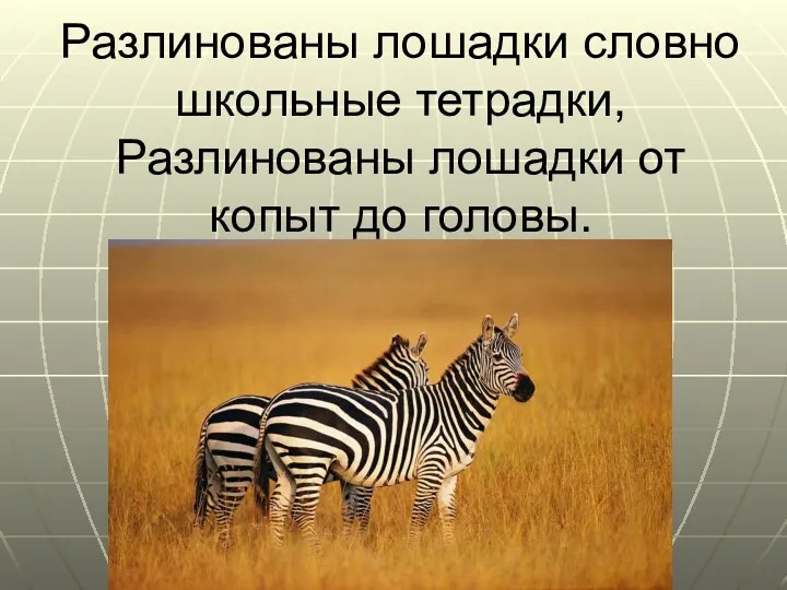 Разлинованы лошадки словно школьные тетрадки, Разлинованы лошадки от копыт до головы.