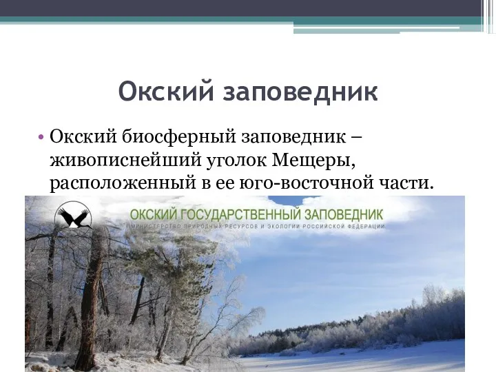 Окский заповедник Окский биосферный заповедник – живописнейший уголок Мещеры, расположенный в ее юго-восточной части.