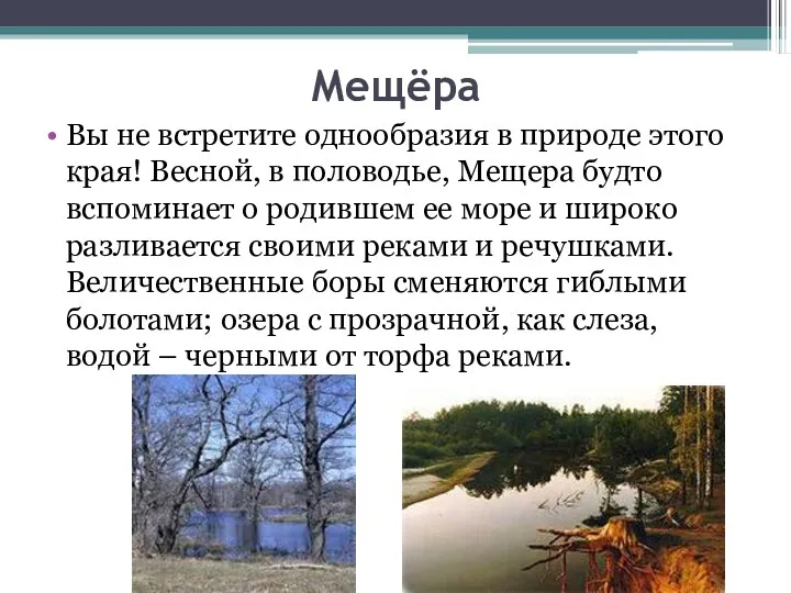 Мещёра Вы не встретите однообразия в природе этого края! Весной,