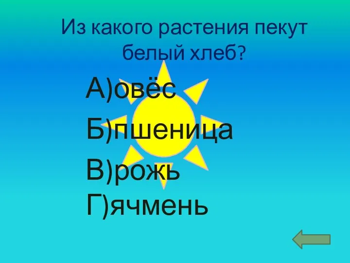 Из какого растения пекут белый хлеб? А)овёс Б)пшеница В)рожь Г)ячмень