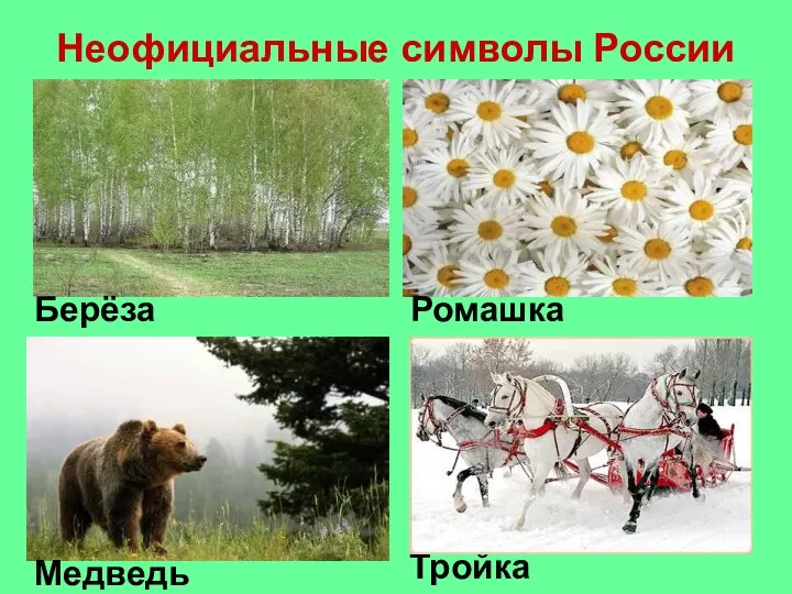 Неофициальные символы России Берёза Ромашка Медведь Тройка