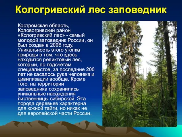 Кологривский лес заповедник Костромская область, Коловогривский район «Кологривский лес» -