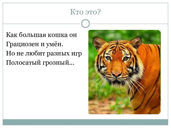 Кто это? Как большая кошка он Грациозен и умён. Но не любит разных игр Полосатый грозный...