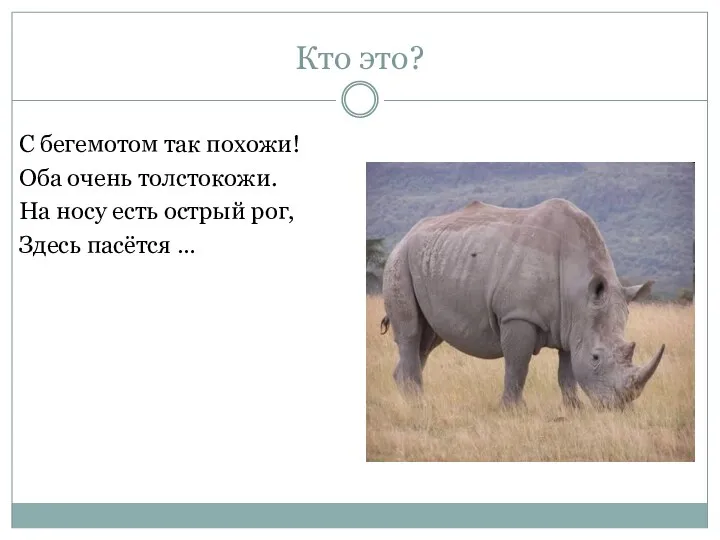 Кто это? С бегемотом так похожи! Оба очень толстокожи. На