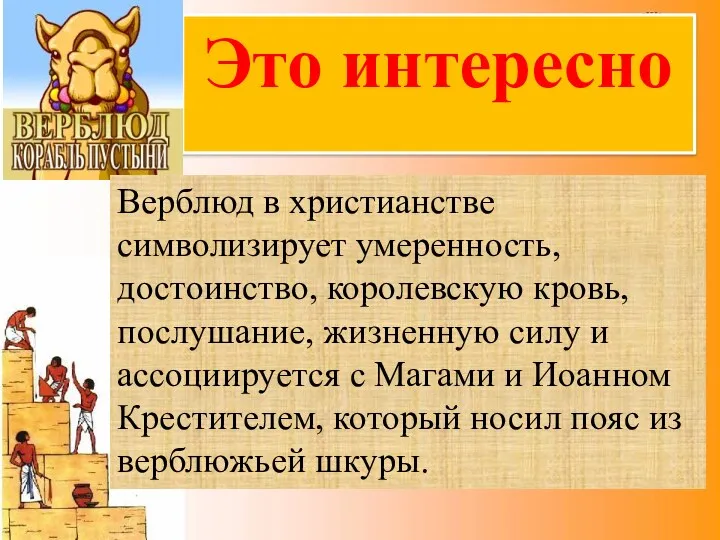 Это интересно Верблюд в христианстве символизирует умеренность, достоинство, королевскую кровь,