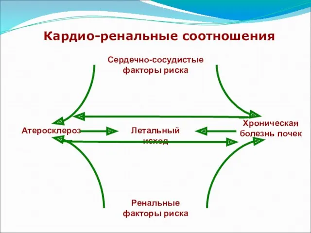 Кардио-ренальные соотношения Сердечно-сосудистые факторы риска Ренальные факторы риска Атеросклероз Хроническая болезнь почек Летальный исход