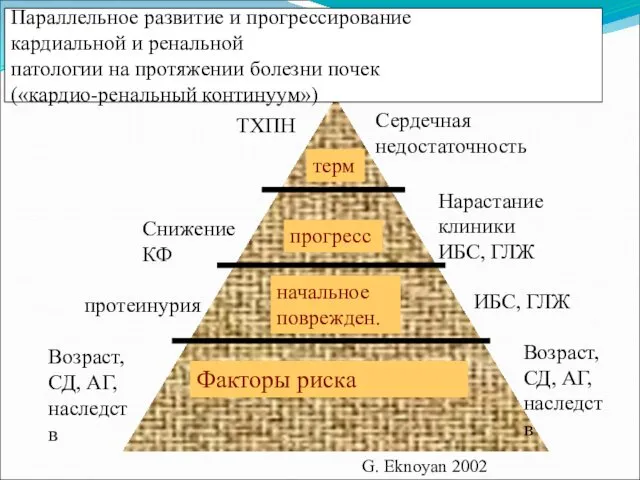 Факторы риска начальное поврежден. прогресс терм Возраст, СД, АГ, наследств Возраст, СД, АГ,