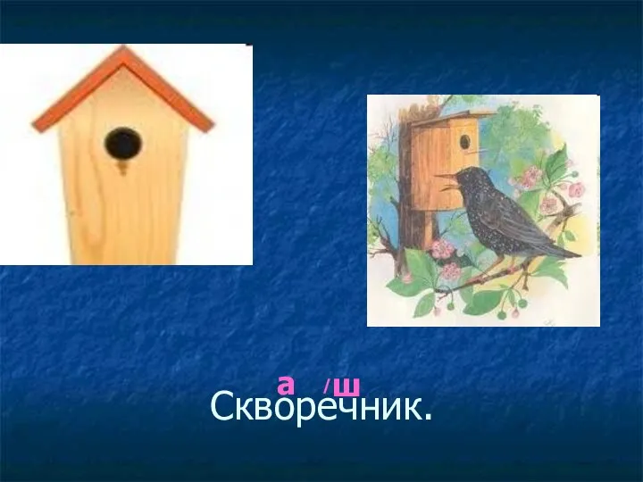 Скворечник. ш а /