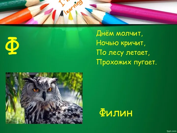 Ф Днём молчит, Ночью кричит, По лесу летает, Прохожих пугает. Филин