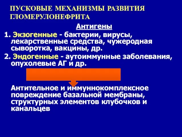 ПУСКОВЫЕ МЕХАНИЗМЫ РАЗВИТИЯ ГЛОМЕРУЛОНЕФРИТА Антигены Экзогенные - бактерии, вирусы, лекарственные средства, чужеродная сыворотка,