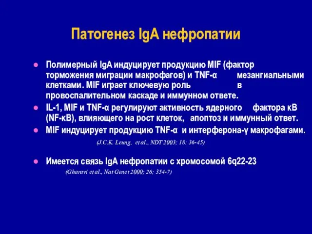 Патогенез IgA нефропатии Полимерный IgA индуцирует продукцию MIF (фактор торможения