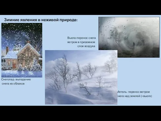 Зимние явления в неживой природе: Вьюга-перенос снега ветром в приземном слое воздуха Снегопад-