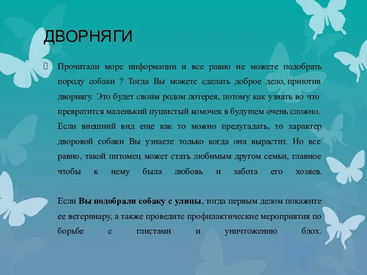 Дворняги Прочитали море информации и все равно не можете подобрать