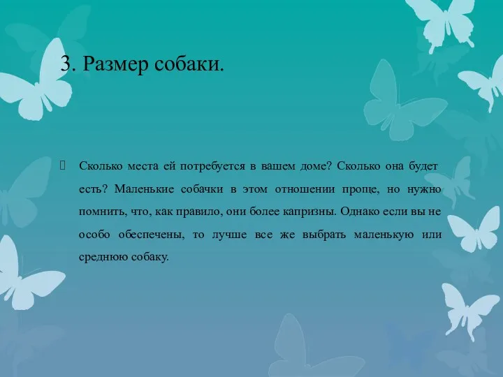 3. Размер собаки. Сколько места ей потребуется в вашем доме?