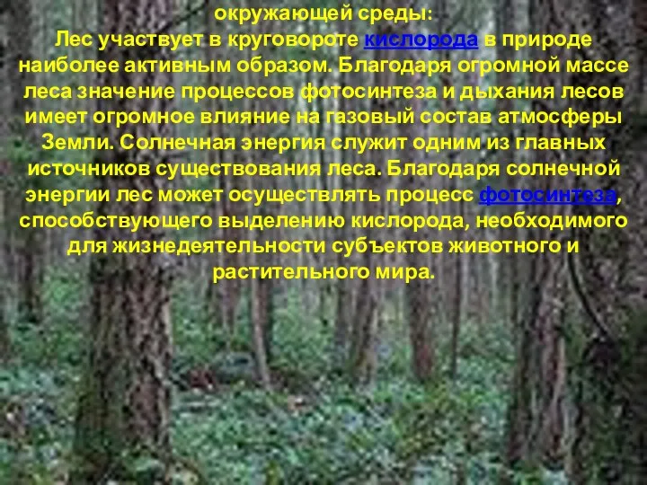 Лес взаимодействует со следующими компонентами окружающей среды: Лес участвует в