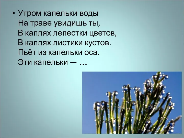 Утром капельки воды На траве увидишь ты, В каплях лепестки цветов, В каплях