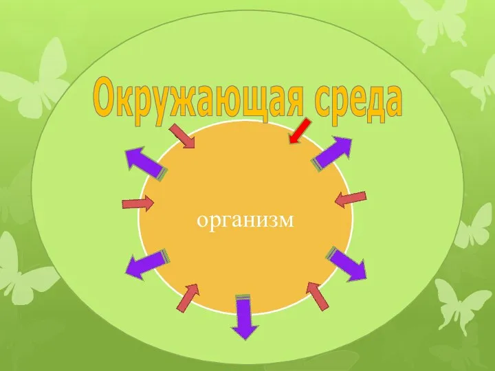 организм Окружающая среда