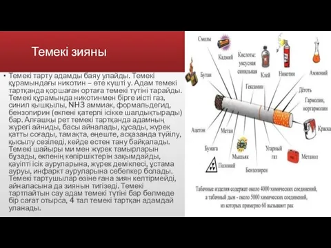 Темекі зияны Темекі тарту адамды баяу улайды. Темекі құрамындағы никотин