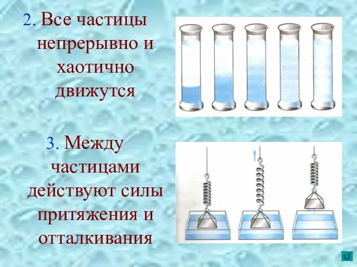 2. Все частицы непрерывно и хаотично движутся 3. Между частицами действуют силы притяжения и отталкивания