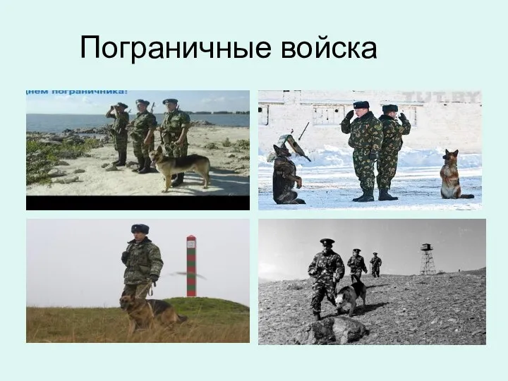 Пограничные войска