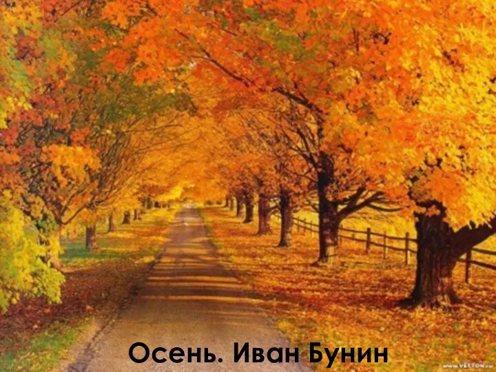 Осень. Иван Бунин