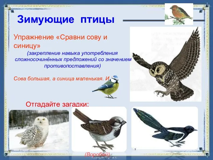 Упражнение «Сравни сову и синицу» (закрепление навыка употребления сложносочинённых предложений