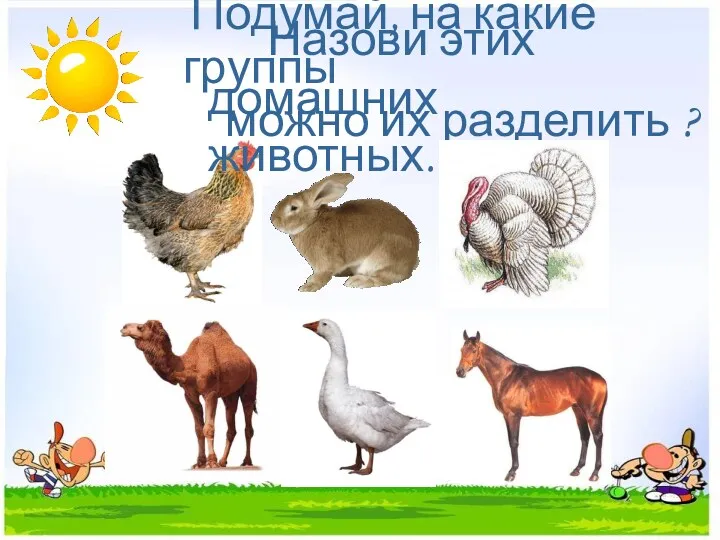 Подумай, на какие группы можно их разделить ? Назови этих домашних животных.