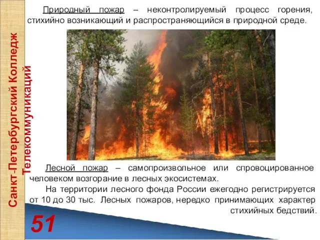 51 Санкт-Петербургский Колледж Телекоммуникаций Природный пожар – неконтролируемый процесс горения, стихийно возникающий и