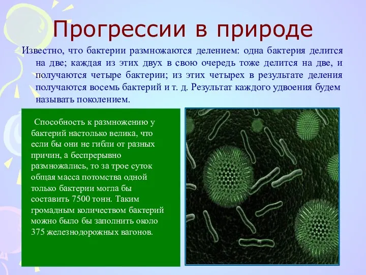 Прогрессии в природе Известно, что бактерии размножаются делением: одна бактерия