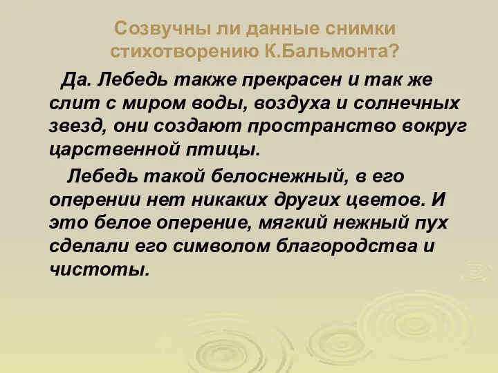 Созвучны ли данные снимки стихотворению К.Бальмонта? Да. Лебедь также прекрасен