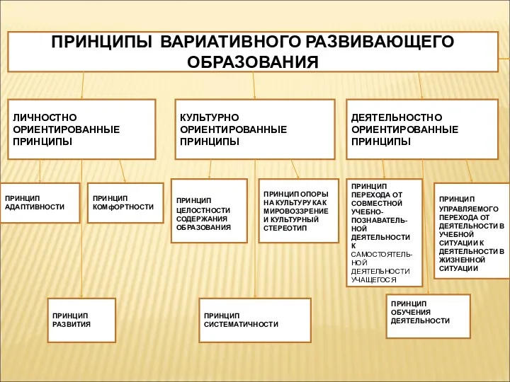 ПРИНЦИПЫ ВАРИАТИВНОГО РАЗВИВАЮЩЕГО ОБРАЗОВАНИЯ ЛИЧНОСТНО ОРИЕНТИРОВАННЫЕ ПРИНЦИПЫ КУЛЬТУРНО ОРИЕНТИРОВАННЫЕ ПРИНЦИПЫ