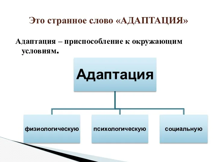 Это странное слово «АДАПТАЦИЯ» Адаптация – приспособление к окружающим условиям.