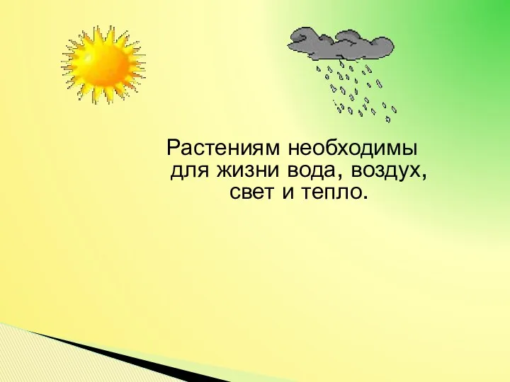 Растениям необходимы для жизни вода, воздух, свет и тепло.