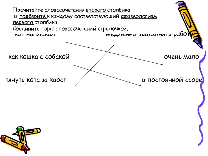 кот наплакал медленно выполнять работу как кошка с собакой очень