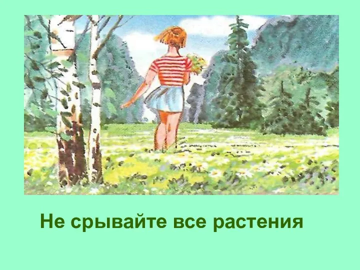 Не срывайте все растения