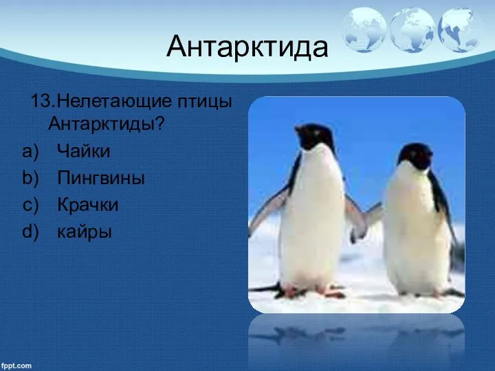 Антарктида 13.Нелетающие птицы Антарктиды? Чайки Пингвины Крачки кайры